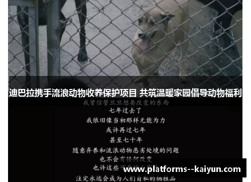 迪巴拉携手流浪动物收养保护项目 共筑温暖家园倡导动物福利